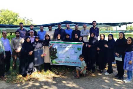نهالستان ملایر ، تامین کننده ۶۰ درصد نهال استان همدان