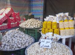 گزارش تصویری جشنواره سیر و موسیر در سولان همدان