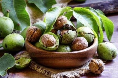 رونمایی از نشان ویژه ‌گردوی‌ تویسرکان در آبان ماه امسال