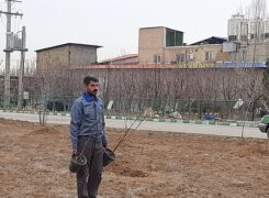 کاشت درخت در شهرک صنعتی بوعلی همدان به مناسبت هفته درختکاری