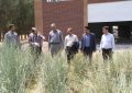 بازدید مدیرکل دفتر امور بیابان سازمان منابع طبیعی و آبخیزداری کشور از طرحهای بیابانزدایی استان همدان بازدید مدیرکل دفتر امور بیابان سازمان منابع طبیعی و آبخیزداری کشور از طرحهای بیابانزدایی استان همدان