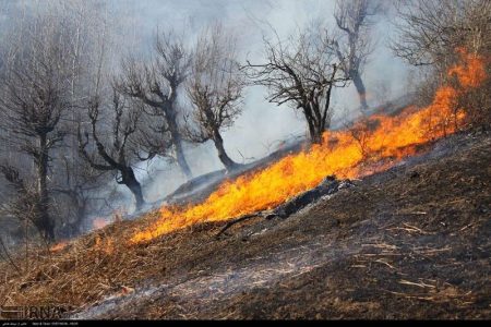 ۲۰۰ هکتار از مراتع استان همدان طعمه حریق شد