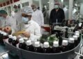 همدان قطب تولید گیاهان دارویی کشور/ سهم چهاردرصدی استان از تولید ملی