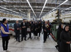 در سومین روز از ایام دهه فجر اصحاب رسانه از شرکت کیان کرد ملایر بازدید کردند