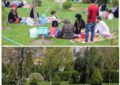 “سیزده‌به‌در؛ آشتی با آغوش سبز طبیعت”
