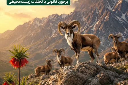 خط ‌ونشان محیط‌زیست ملایر برای سودجویان
