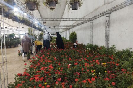 نمایشگاه گل و گیاه در سنندج برپا شد   