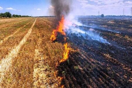 سوزاندن بقایای گیاهی اراضی کشاورزی غیرقانونی است