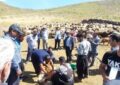 برگزاری نخستین جشنواره عشایری پشم چینی تویسرکان 