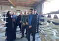 افتتاح کارگاه سفال و سرامیک بانوان در کبودراهنگ