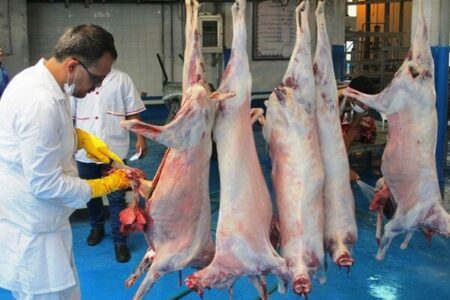 کشتار دام در روزهای تاسوعا و عاشورا رایگان شد