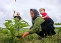 پیش ثبت نام ۱۴ هزار مادر همدانی دارای سه فرزند برای بیمه رایگان