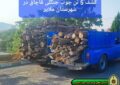 کشف ۵ تن چوب جنگلی قاچاق در شهرستان ملایر کشف ۵ تن چوب جنگلی قاچاق در شهرستان ملایر