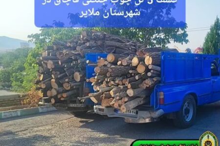 کشف ۵ تن چوب جنگلی قاچاق در شهرستان ملایر