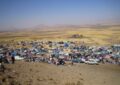 برگزاری آیین شکرگزاری برداشت محصول گندم در روستای سنقرآباد و قراقیه شهرستان درگزین برگزاری آیین شکرگزاری برداشت محصول گندم در روستای سنقرآباد و قراقیه شهرستان درگزین
