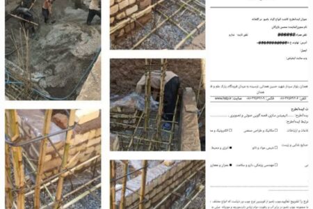 کاشت گیاه بامبو  در استان همدان می تواند اشتغال فراوان ایجاد کند/ طرح و ایده ای که با تنگ‌نظری بررسی نشد