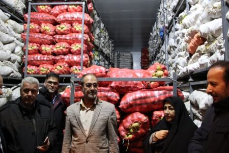 اعمال محدودیت صادرات سیب زمینی/ ۴۰۰ هزار تن سیب زمینی در انبارها روانه بازار می شود