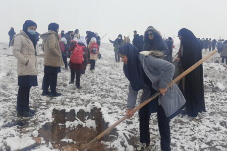کاشت ۲۰۰۰ اصله نهال در پویش به “نام پدر ” در استان همدان/  کاشت بیش از ۳۰ گونه نهال در این طرح    