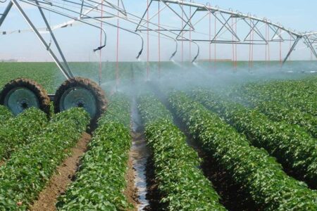 تهدید امنیت غذایی با صادرات محصولات پرآب طلب کشاورزی