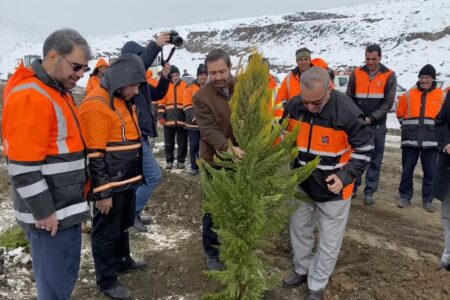 کاشت ۸۰۰ نهال کم‌آب‌بر در حاشیه جاده‌های همدان به مناسبت روز درختکاری  