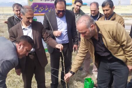 کاشت ۶۰۰ اصله در شهرک صنعتی اسدآباد