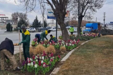 کاشت ۲ میلیون گل فصلی و اهدای ۸ هزار نهال به شهروندان همدانی