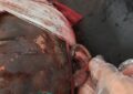 هنوز چهارشنبهسوری نرسیده، ۲۳ مصدوم داشتهایم / ۲ نفر در ICU بستری هستند هنوز چهارشنبهسوری نرسیده، ۲۳ مصدوم داشتهایم / ۲ نفر در ICU بستری هستند
