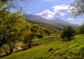 حفاظت از جنگل‌ها با اجرای جنگلداری اجتماعی و مشارکت مردم