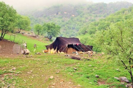 ورود عشایر به مراتع ییلاقی شهرستان اسدآباد