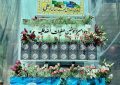 ساخت کیک ۶ متری به نام امیرالمؤمنین علی(ع) در همدان