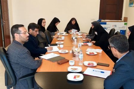 برگزاری کمیته تخصصی سلامت و امنیت روان خانواده