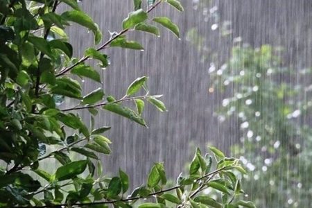 ۲۸۵ میلمتر بارش در سال آبی گذشته استان همدان