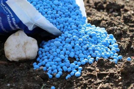 تأمین پایدار کودهای کشاورزی در استان همدان/ سهمیه‌ها آماده جذب