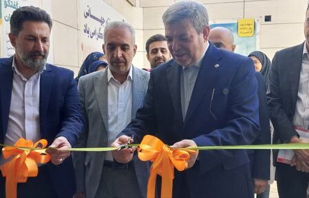 فعالیت ۱۱۰ مرکز مراقبت در منزل در کشور 