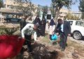 کاشت نهال به مناسبت هفته نیروی انتظامی درستاد فرماندهی نیروی انتظامی شهرستان بهار