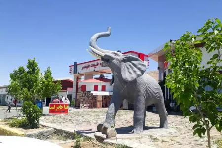 تخفيف ۵۰ درصدی بازديد از باغ وحش علیصدر در هفته کبودراهنگ