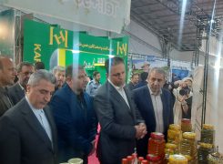 دهمین نمایشگاه توانمندی های صنایع کوچک و متوسط و خوشه های صنعتی افتتاح شد