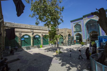 اظهارات معاون میراث‌فرهنگی استان همدان درباره درخت کهنسال شاهزاده حسین(ع)