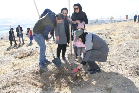 ۲۰۰۰ نهال به نام و یاد مادران استان همدان غرس می‌شود