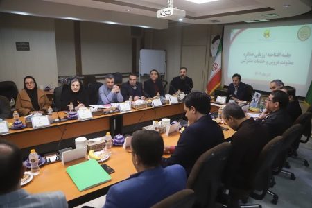 افزایش کنترل‌پذیری ۶۰۷ نقطه در شبکه ۲۰ کیلوولت استان همدان