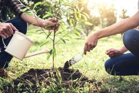 کاشت ۳۰۰۰ نهال در پویش روز پدر