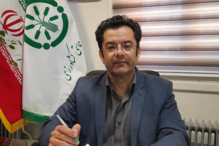 آغاز واریز یارانه‌های نقدی کودهای فسفاته و پتاسه به حساب کشاورزان همدانی